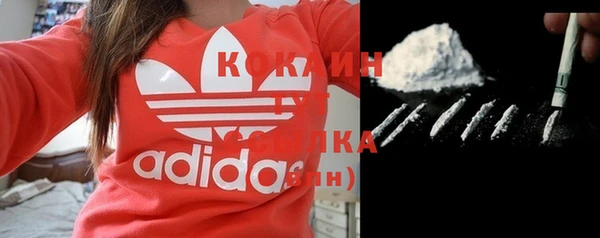 сатива Переславль-Залесский