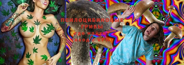 герыч Пересвет