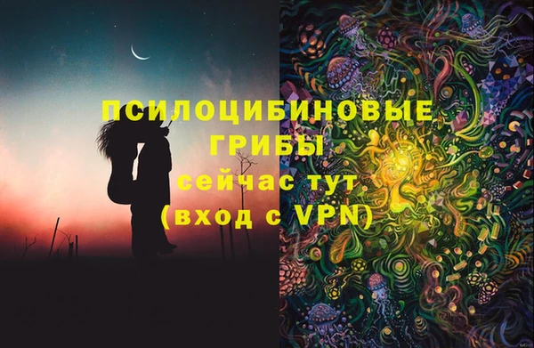 сатива Переславль-Залесский